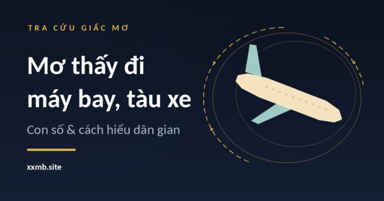 Máy bay màu kem bay lên trong vòng tròn vàng trên nền xanh đen, minh hoạ giấc mơ về di chuyển