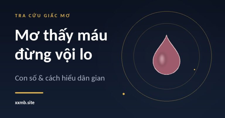 Giọt nước màu hồng trầm trong hai vòng tròn vàng trên nền tối, ảnh bìa bài giấc mơ thấy máu
