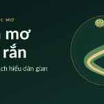 Hình rắn xanh uốn lượn trong vòng tròn đồng trên nền xanh đậm, ảnh bìa bài tra cứu giấc mơ thấy rắn